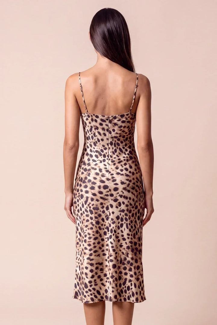 Nuisette Panthera – 4. kép